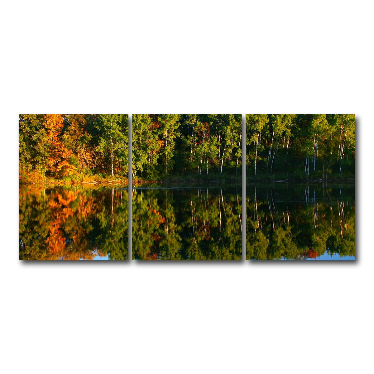 AUTO-MOCKUP WHITE | Kettle Moraine State Forest | 3 Piece | Gallery Wrap Canvas | group=18x24