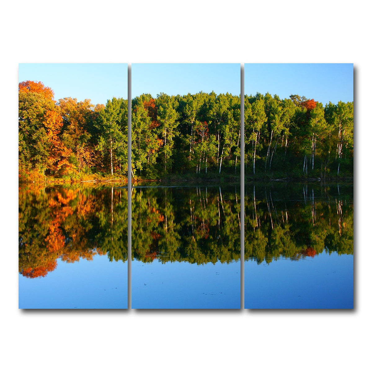 AUTO-MOCKUP WHITE | Kettle Moraine State Forest | 3 Piece | Gallery Wrap Canvas | group=8x18