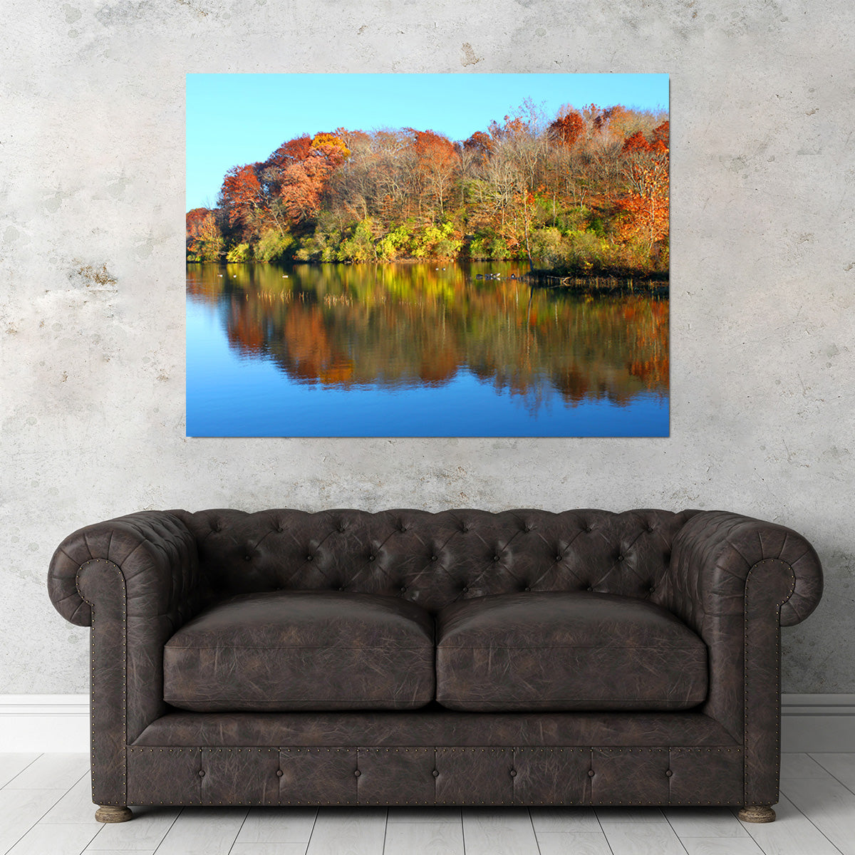 Kickapoo State Park Wall Art