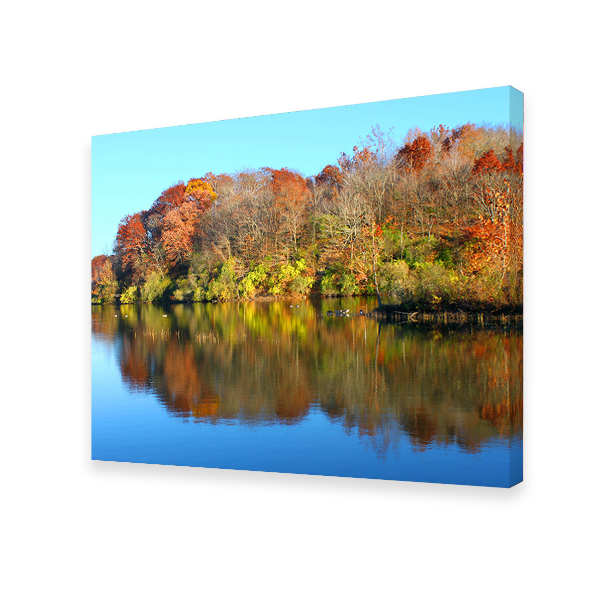 Kickapoo State Park Wall Art
