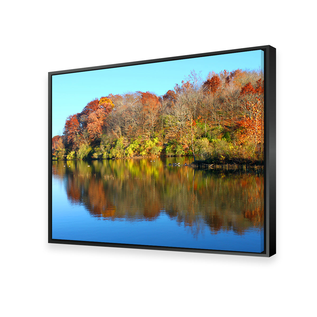 Kickapoo State Park Wall Art