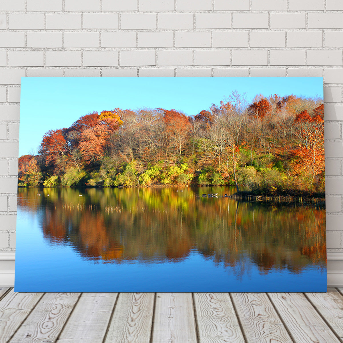Kickapoo State Park Wall Art