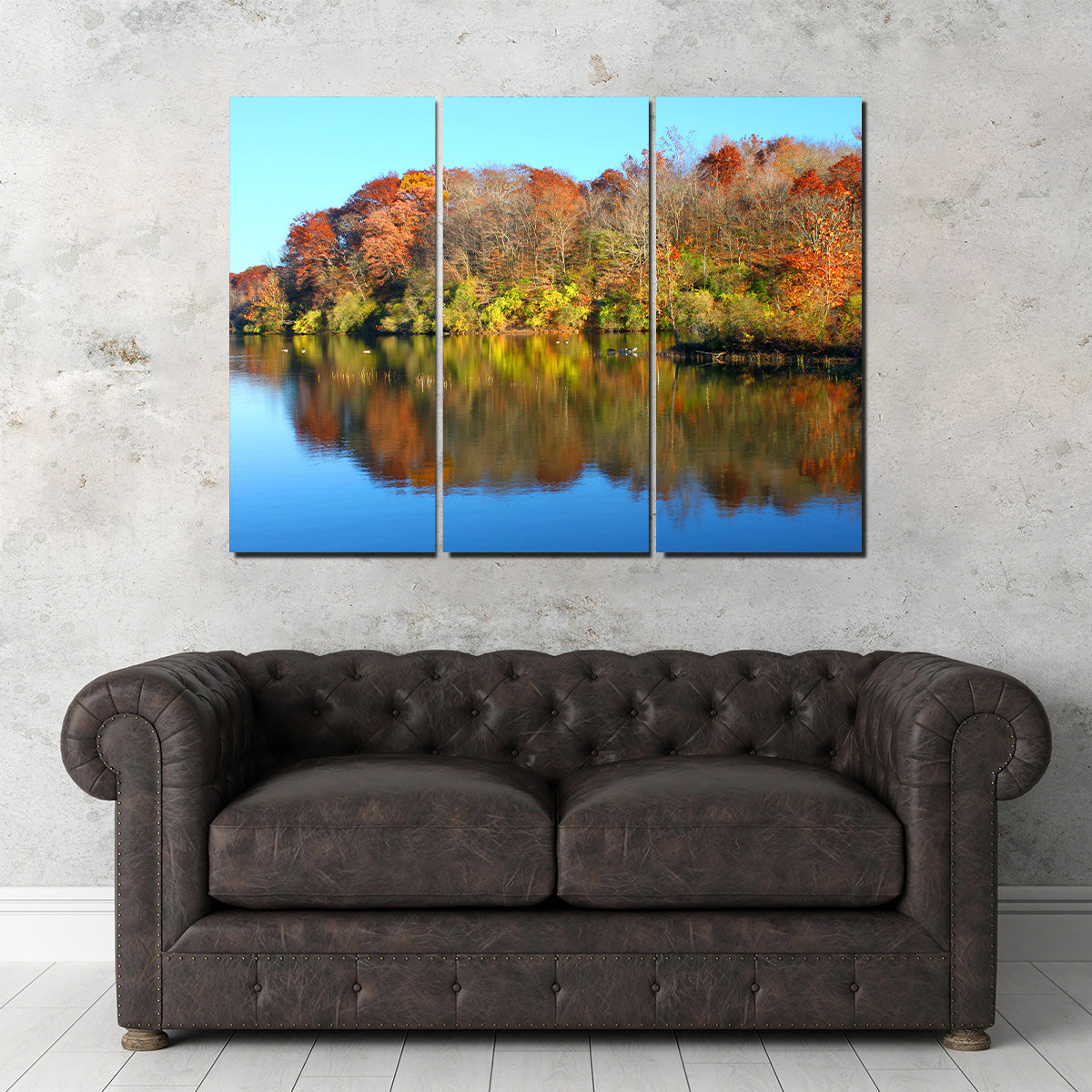Kickapoo State Park Wall Art