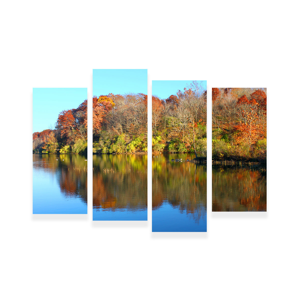 Kickapoo State Park Wall Art