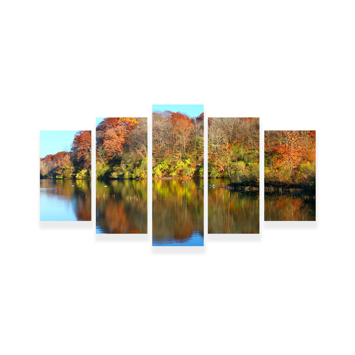 Kickapoo State Park Wall Art