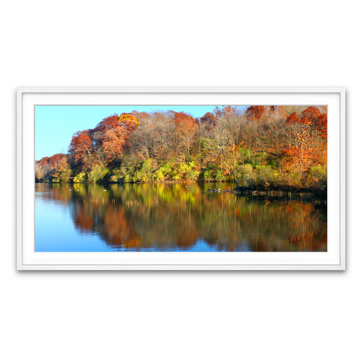 Framed Print 2x1 White