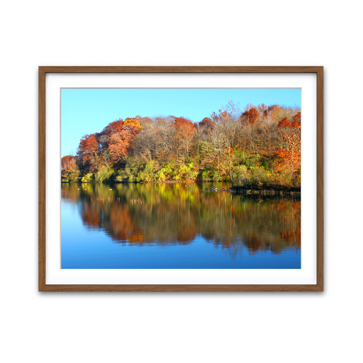 Framed Print 4x3 Walnut