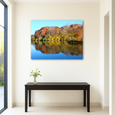 AUTO-MOCKUP ROOM | Kickapoo State Park