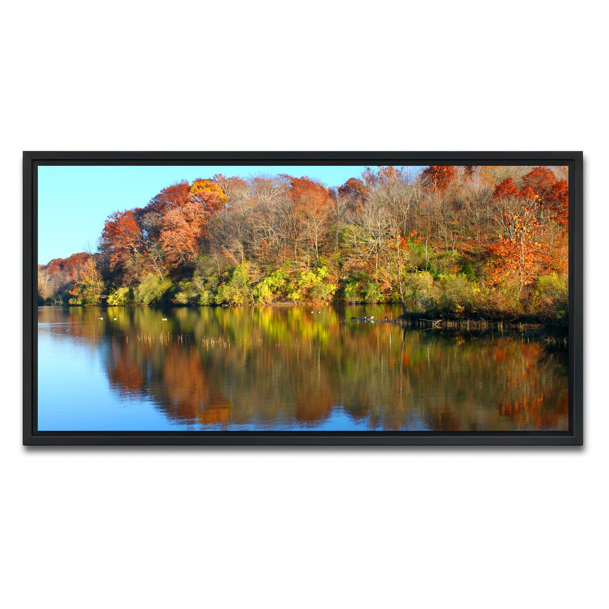 AUTO-MOCKUP WHITE | Kickapoo State Park | 1 Piece | Black Framed Canvas | group=2x1
