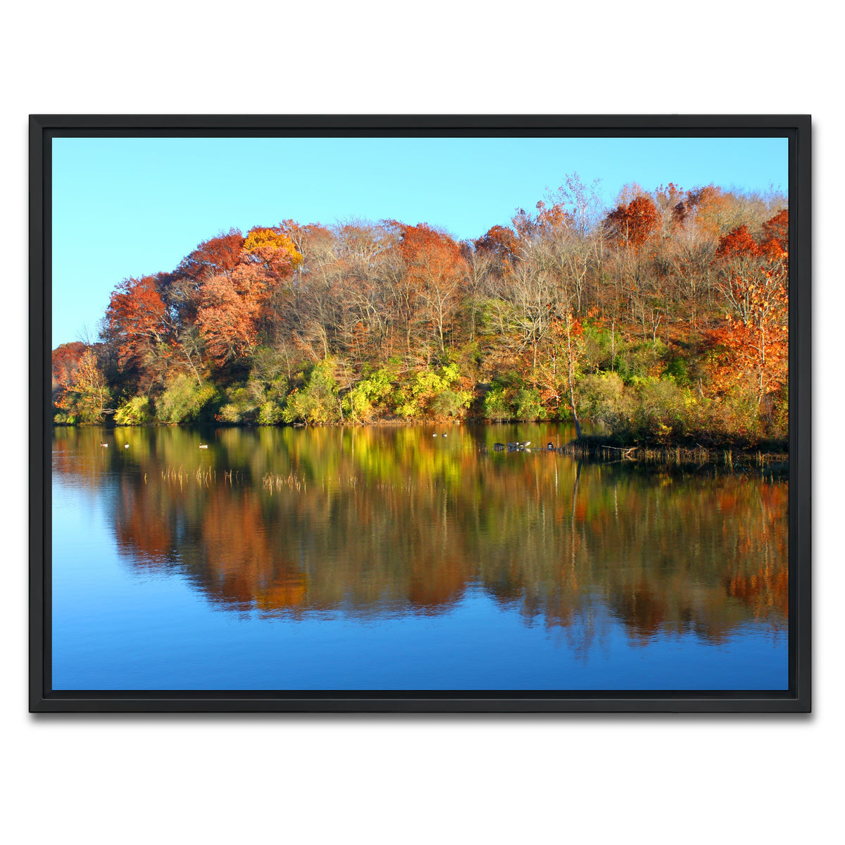 AUTO-MOCKUP WHITE | Kickapoo State Park | 1 Piece | Black Framed Canvas | group=4x3