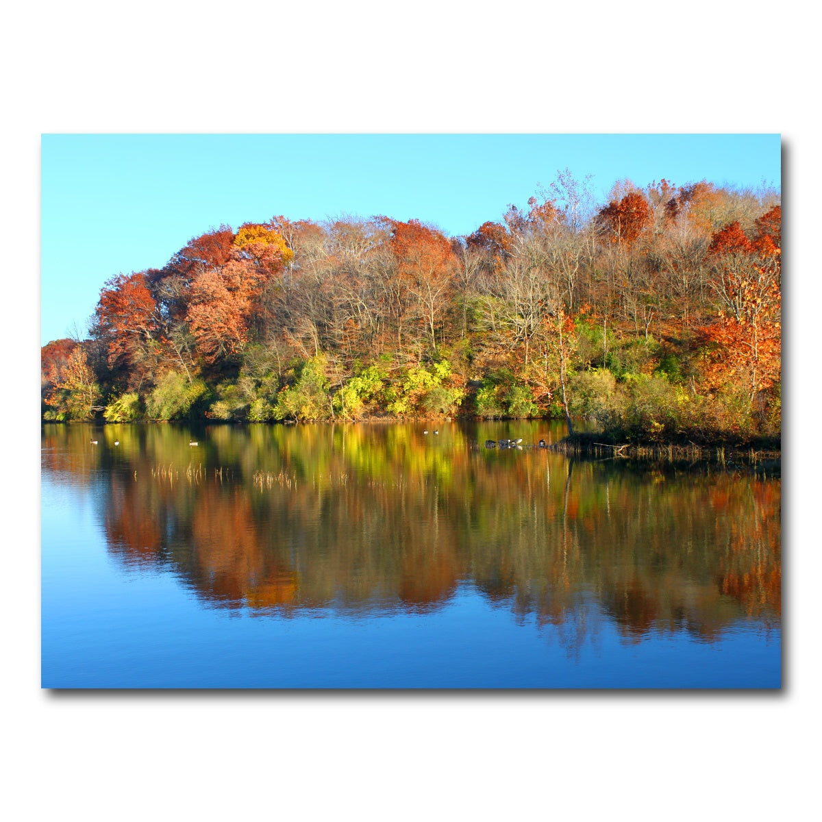 AUTO-MOCKUP WHITE | Kickapoo State Park | 1 Piece | Gallery Wrap Canvas | group=4x3