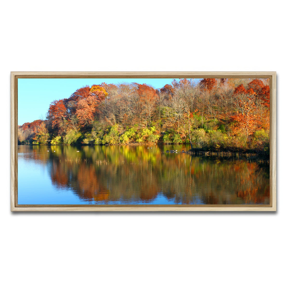 AUTO-MOCKUP WHITE | Kickapoo State Park | 1 Piece | Natural Framed Canvas | group=2x1