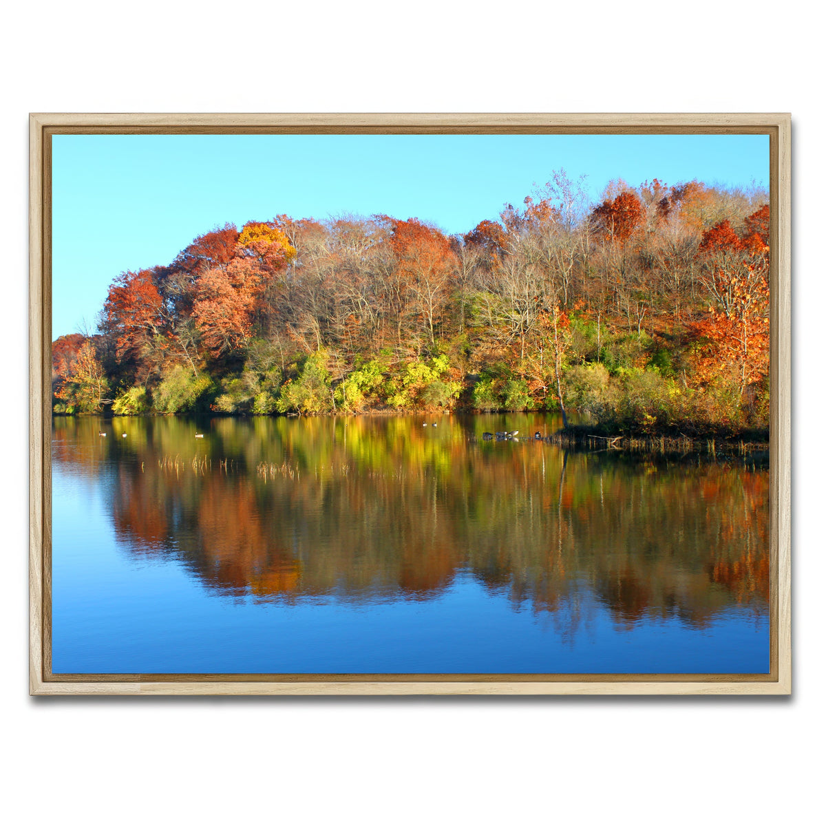 AUTO-MOCKUP WHITE | Kickapoo State Park | 1 Piece | Natural Framed Canvas | group=4x3
