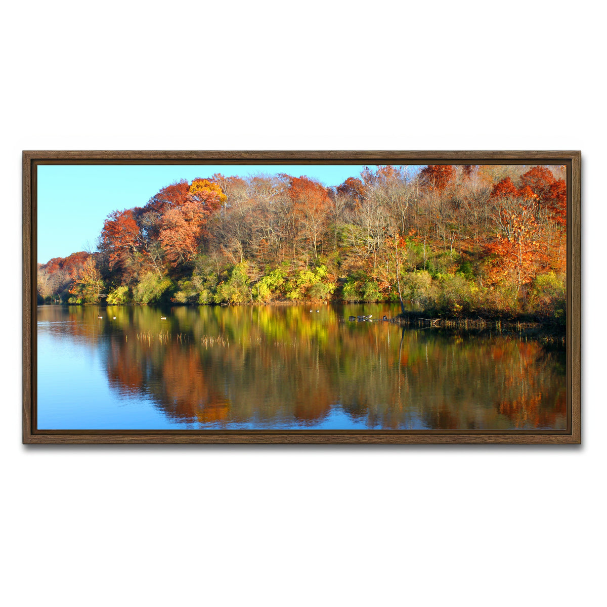 AUTO-MOCKUP WHITE | Kickapoo State Park | 1 Piece | Walnut Framed Canvas | group=2x1