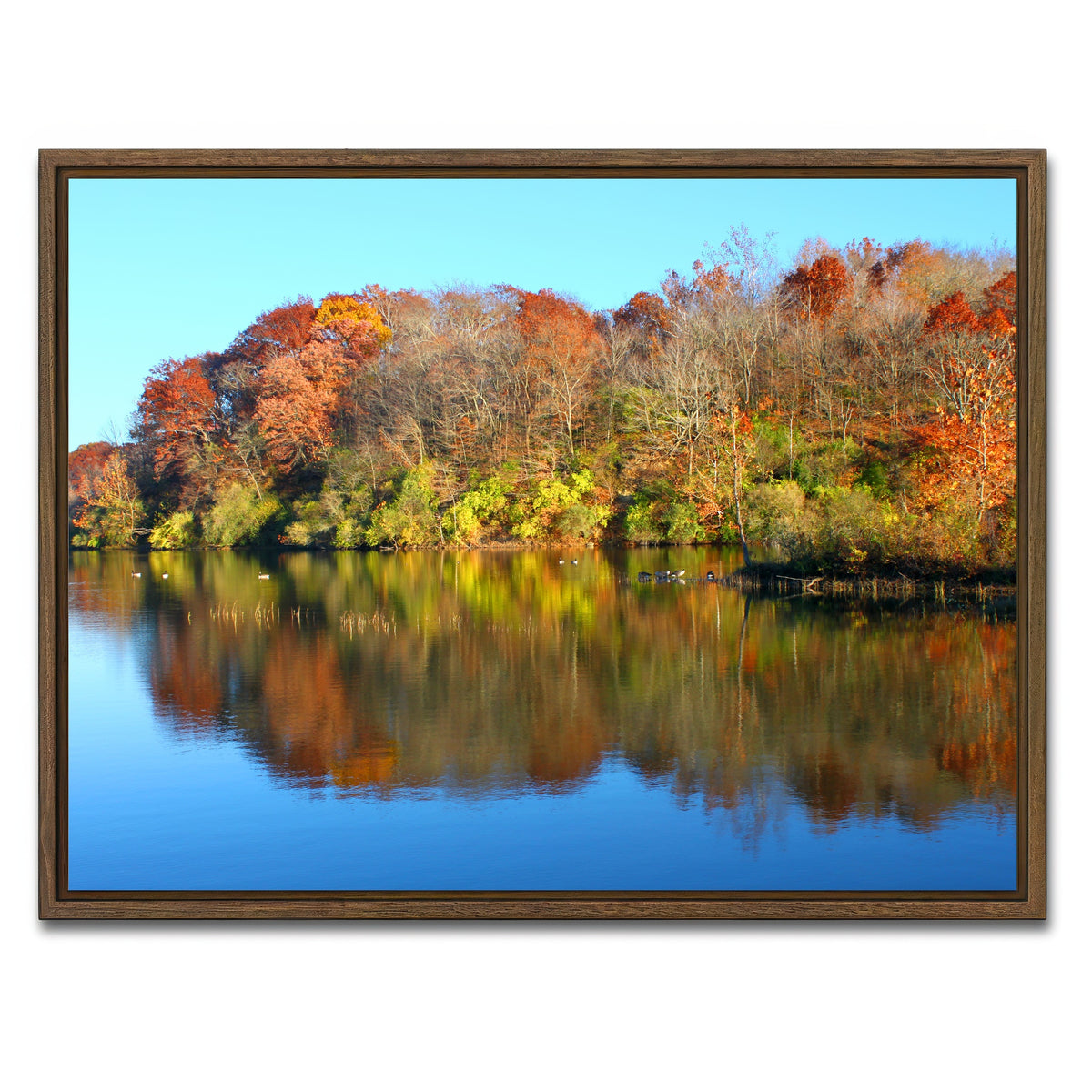 AUTO-MOCKUP WHITE | Kickapoo State Park | 1 Piece | Walnut Framed Canvas | group=4x3