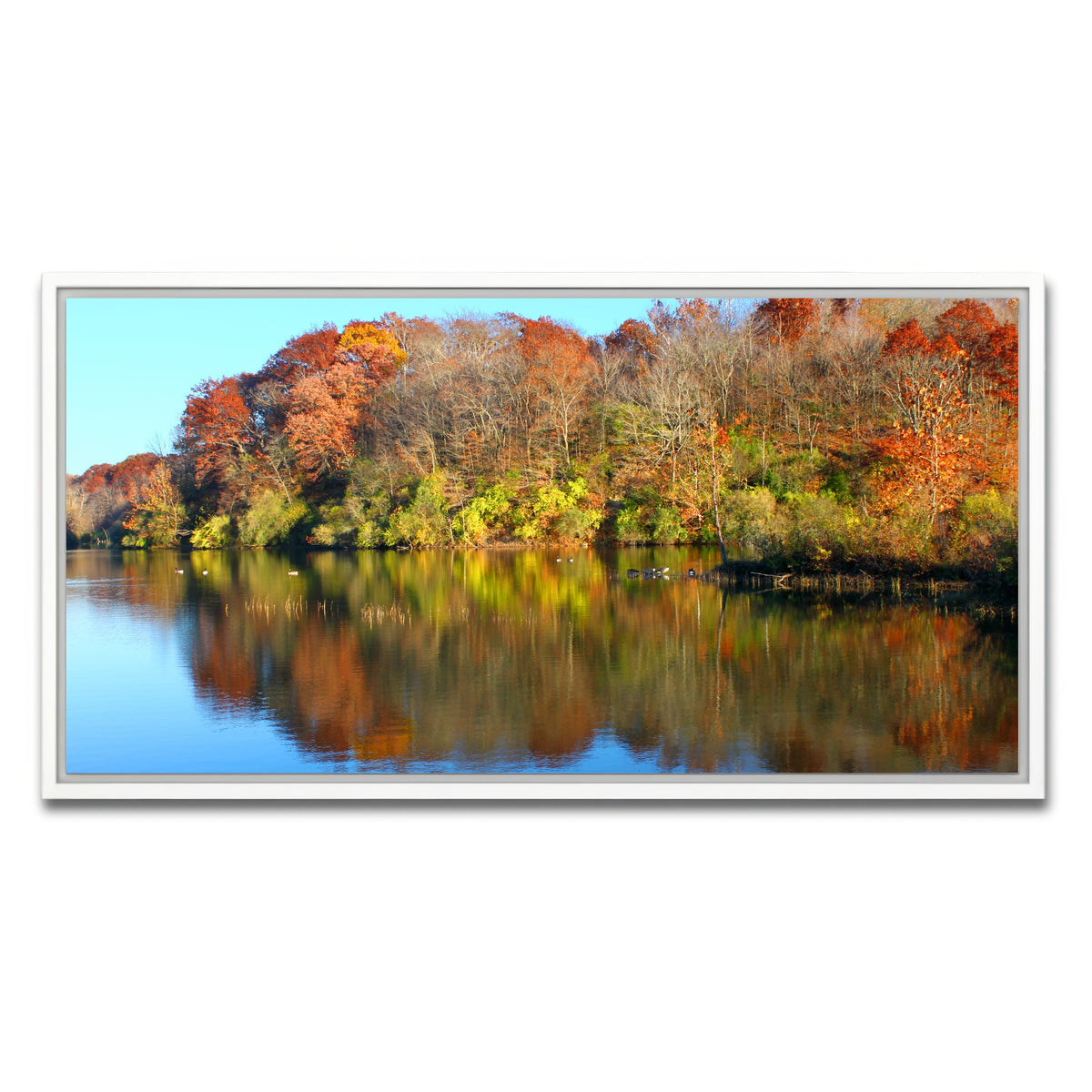 AUTO-MOCKUP WHITE | Kickapoo State Park | 1 Piece | White Framed Canvas | group=2x1