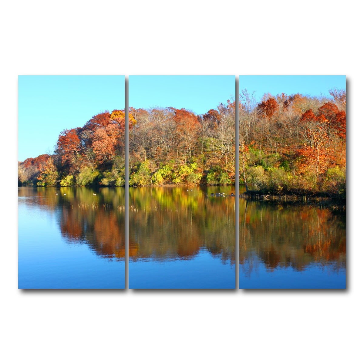 AUTO-MOCKUP WHITE | Kickapoo State Park | 3 Piece | Gallery Wrap Canvas | group=12x24