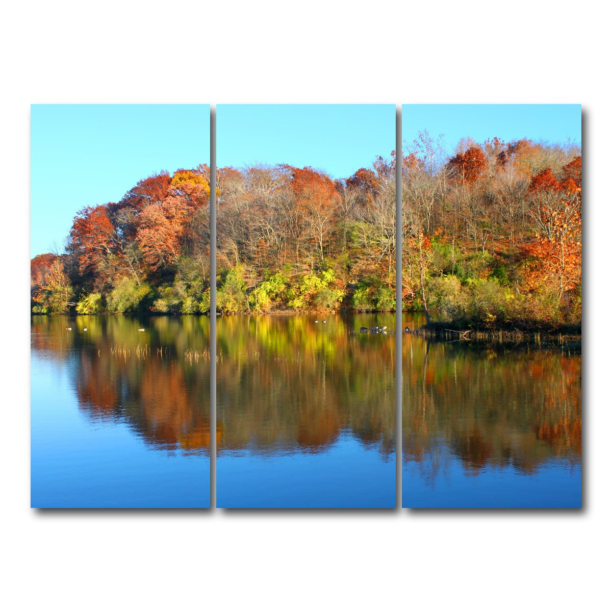 AUTO-MOCKUP WHITE | Kickapoo State Park | 3 Piece | Gallery Wrap Canvas | group=8x18