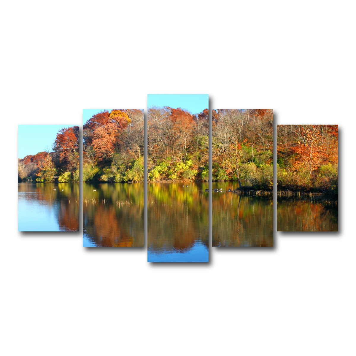 AUTO-MOCKUP WHITE | Kickapoo State Park | 5 Piece | Gallery Wrap Canvas | group=5_normal