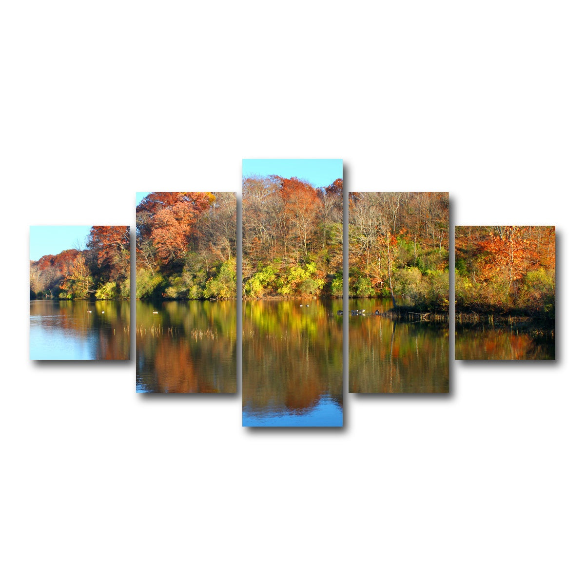 AUTO-MOCKUP WHITE | Kickapoo State Park | 5 Piece | Gallery Wrap Canvas | group=5_short