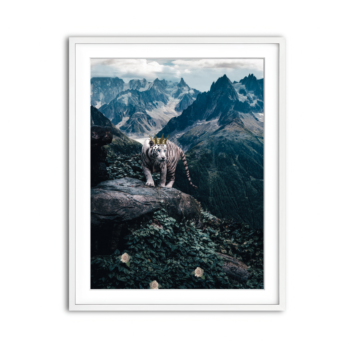 Framed Print 3x4 White
