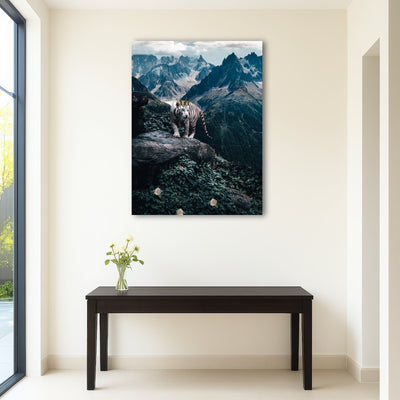 AUTO-MOCKUP ROOM | King of the Valley