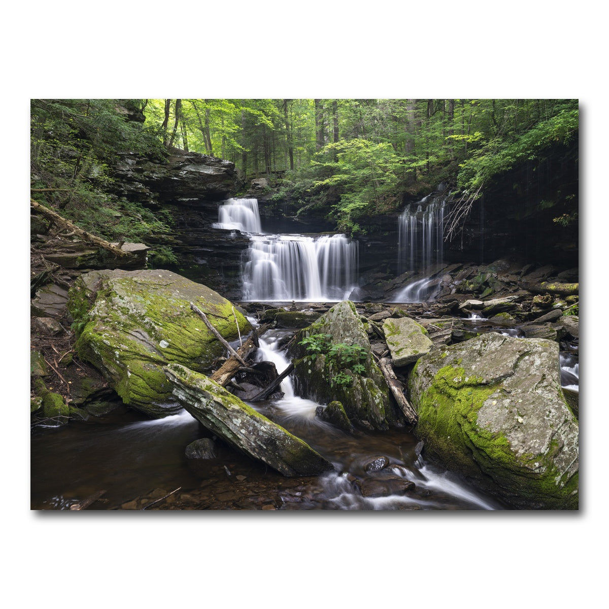 AUTO-MOCKUP WHITE | Knifes Edge | 1 Piece | Gallery Wrap Canvas | group=4x3