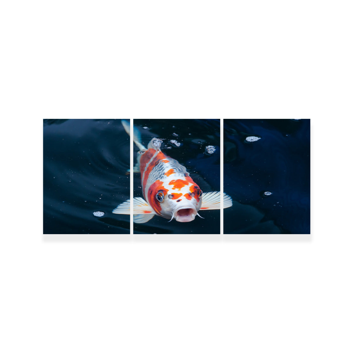 Koi Wall Art