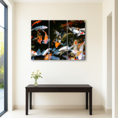 AUTO-MOCKUP ROOM | Koi Fish Swimming