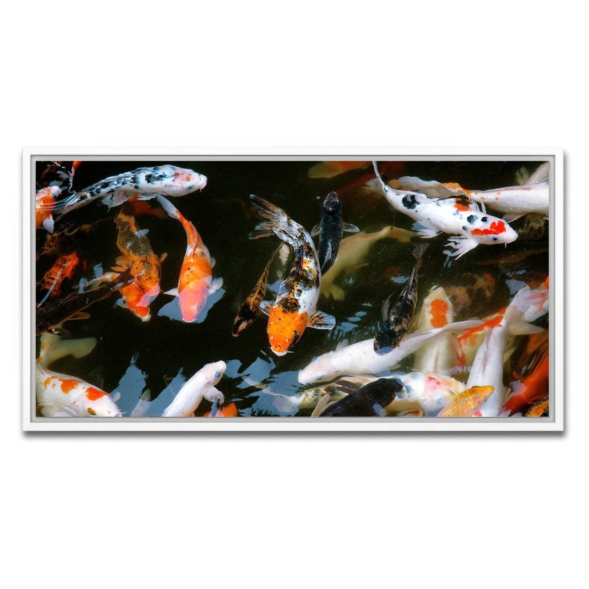AUTO-MOCKUP WHITE | Koi Fish Swimming | 1 Piece | White Framed Canvas | group=2x1