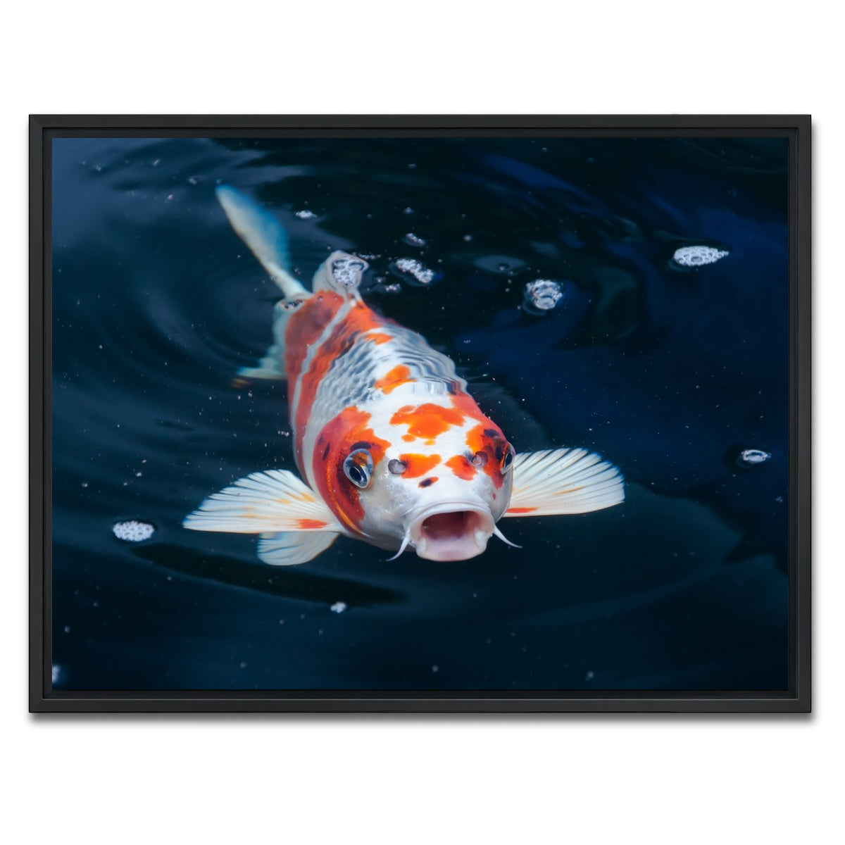 AUTO-MOCKUP WHITE | Koi | 1 Piece | Black Framed Canvas | group=4x3