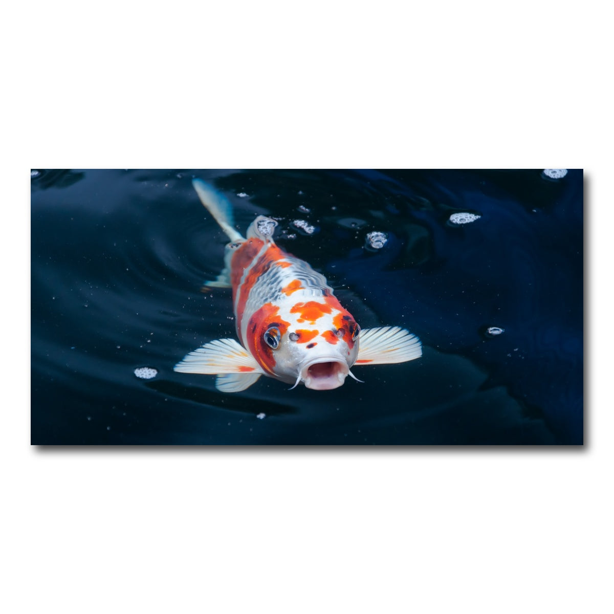 AUTO-MOCKUP WHITE | Koi | 1 Piece | Gallery Wrap Canvas | group=2x1