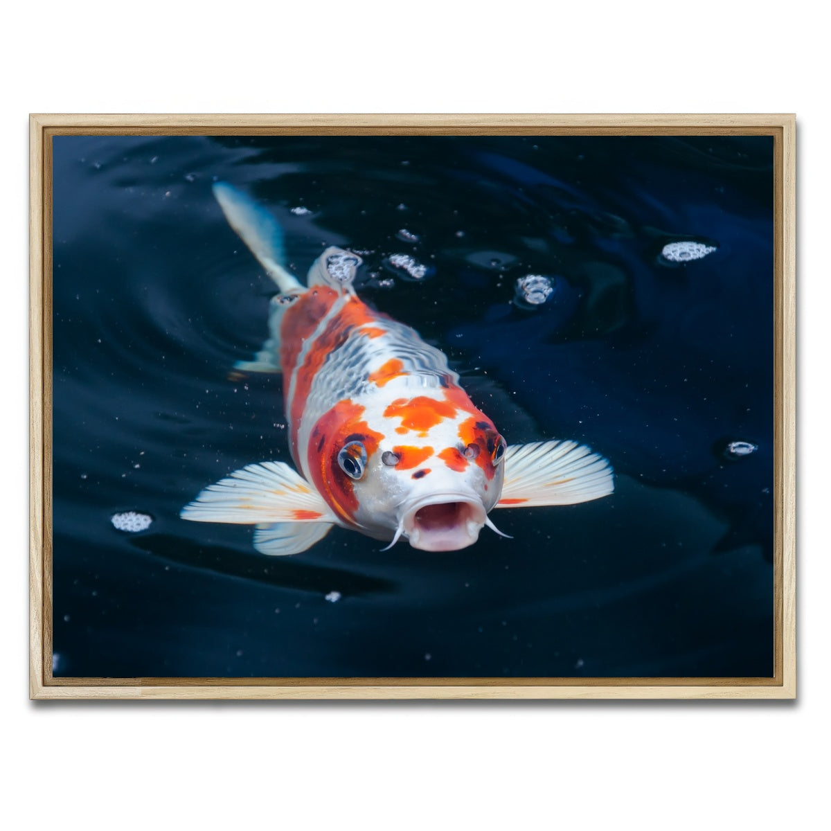 AUTO-MOCKUP WHITE | Koi | 1 Piece | Natural Framed Canvas | group=4x3