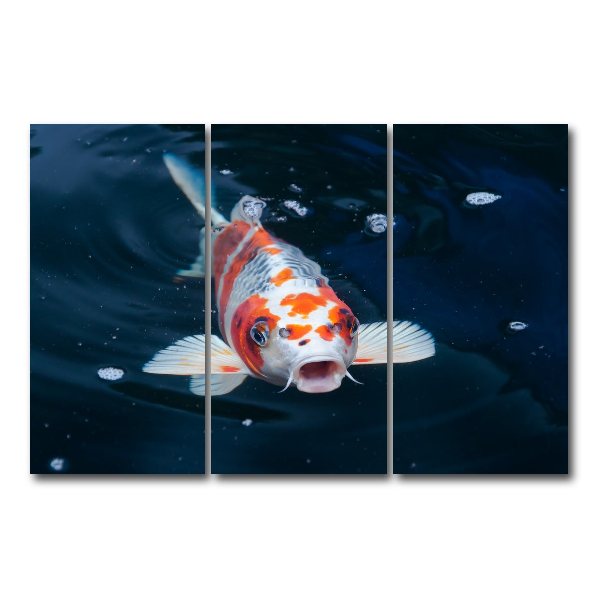 AUTO-MOCKUP WHITE | Koi | 3 Piece | Gallery Wrap Canvas | group=12x24