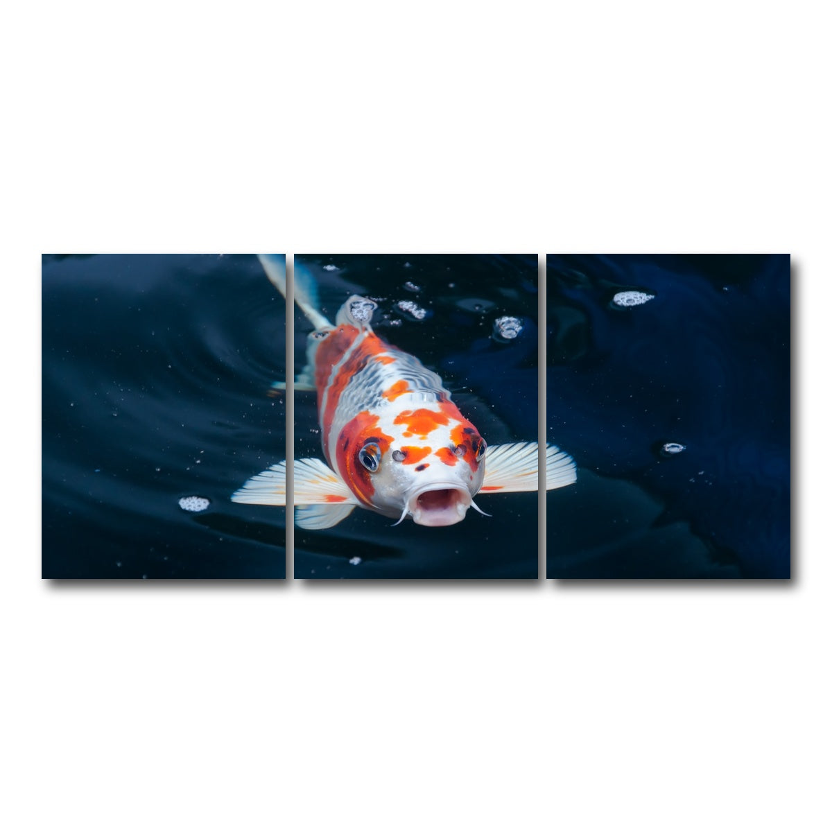 AUTO-MOCKUP WHITE | Koi | 3 Piece | Gallery Wrap Canvas | group=18x24
