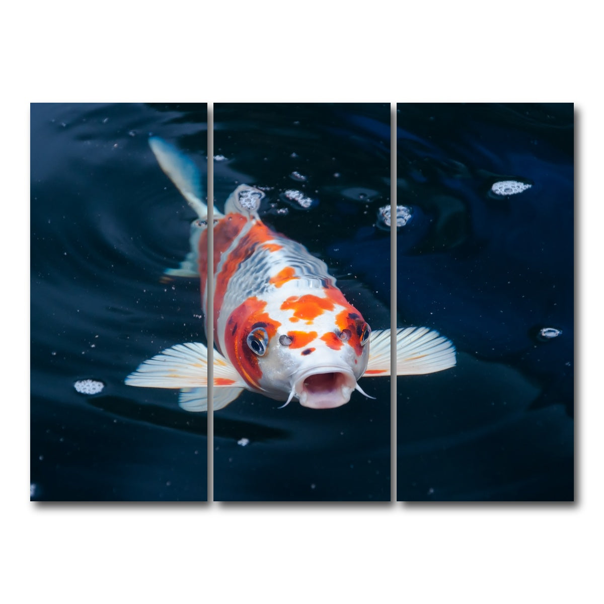 AUTO-MOCKUP WHITE | Koi | 3 Piece | Gallery Wrap Canvas | group=8x18