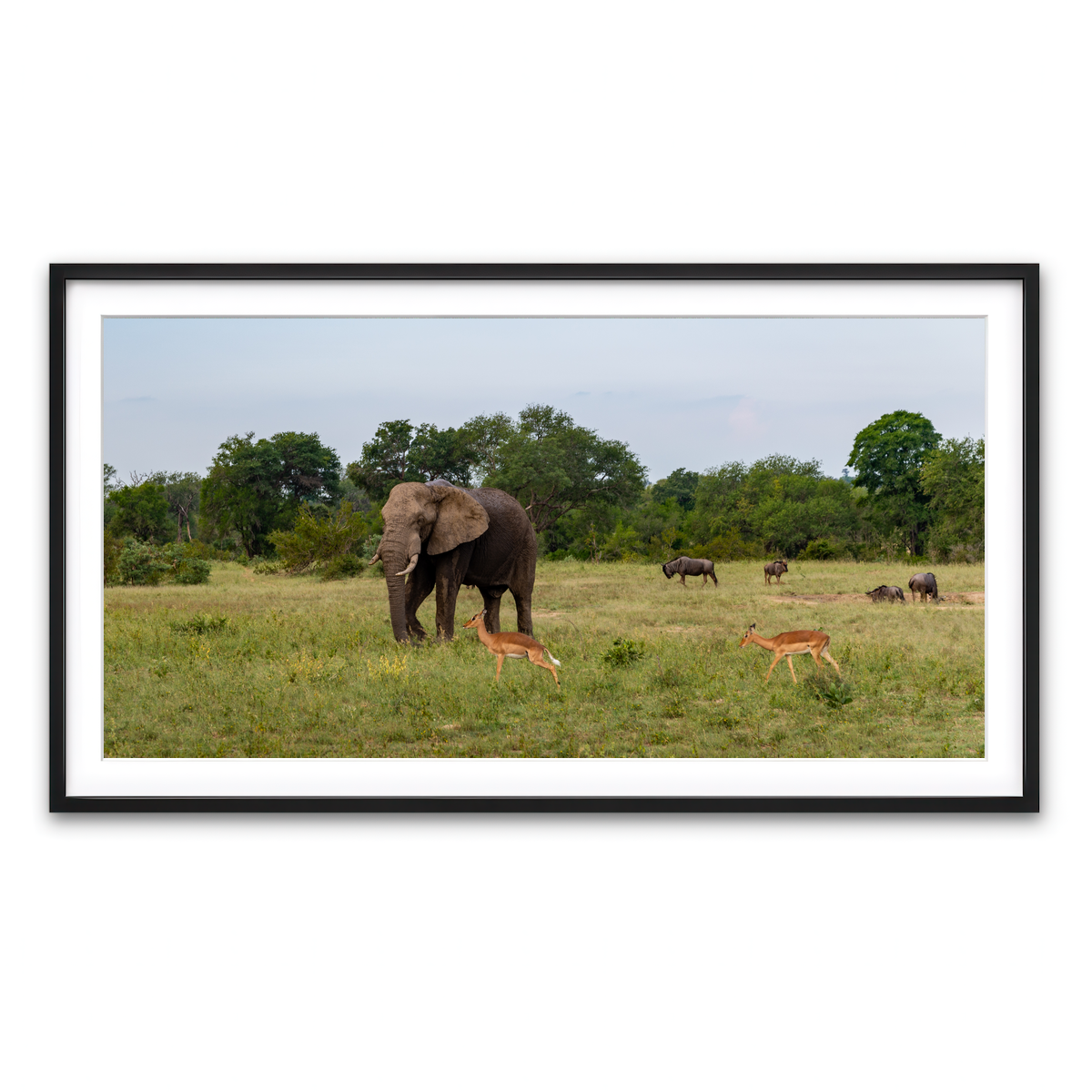 Framed Print 2x1 Black