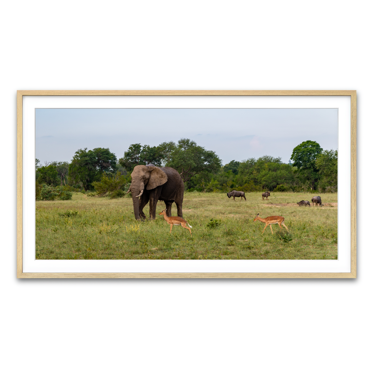 Framed Print 2x1 Natural