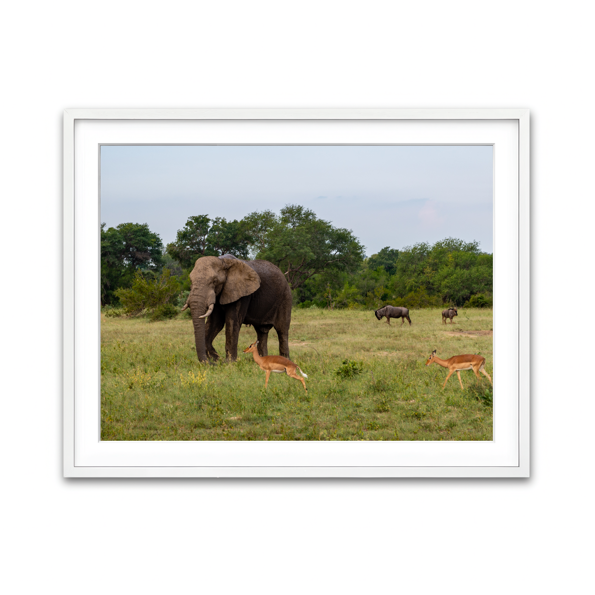 Framed Print 4x3 White