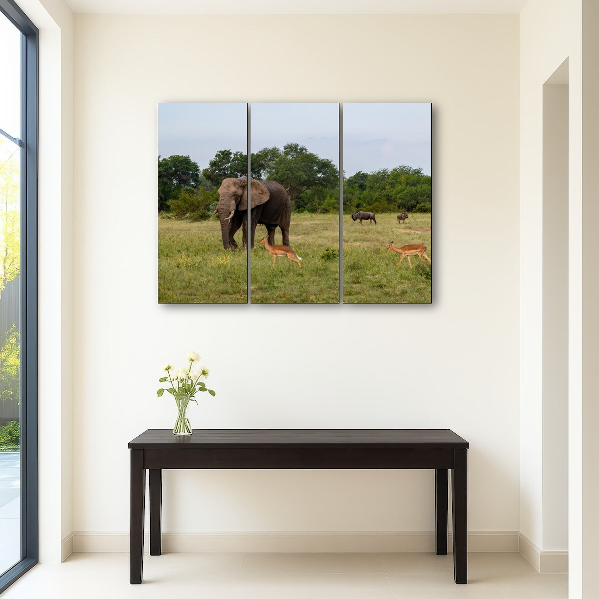 AUTO-MOCKUP ROOM | Kruger National Park
