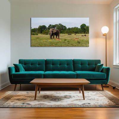 AUTO-MOCKUP ROOM | Kruger National Park