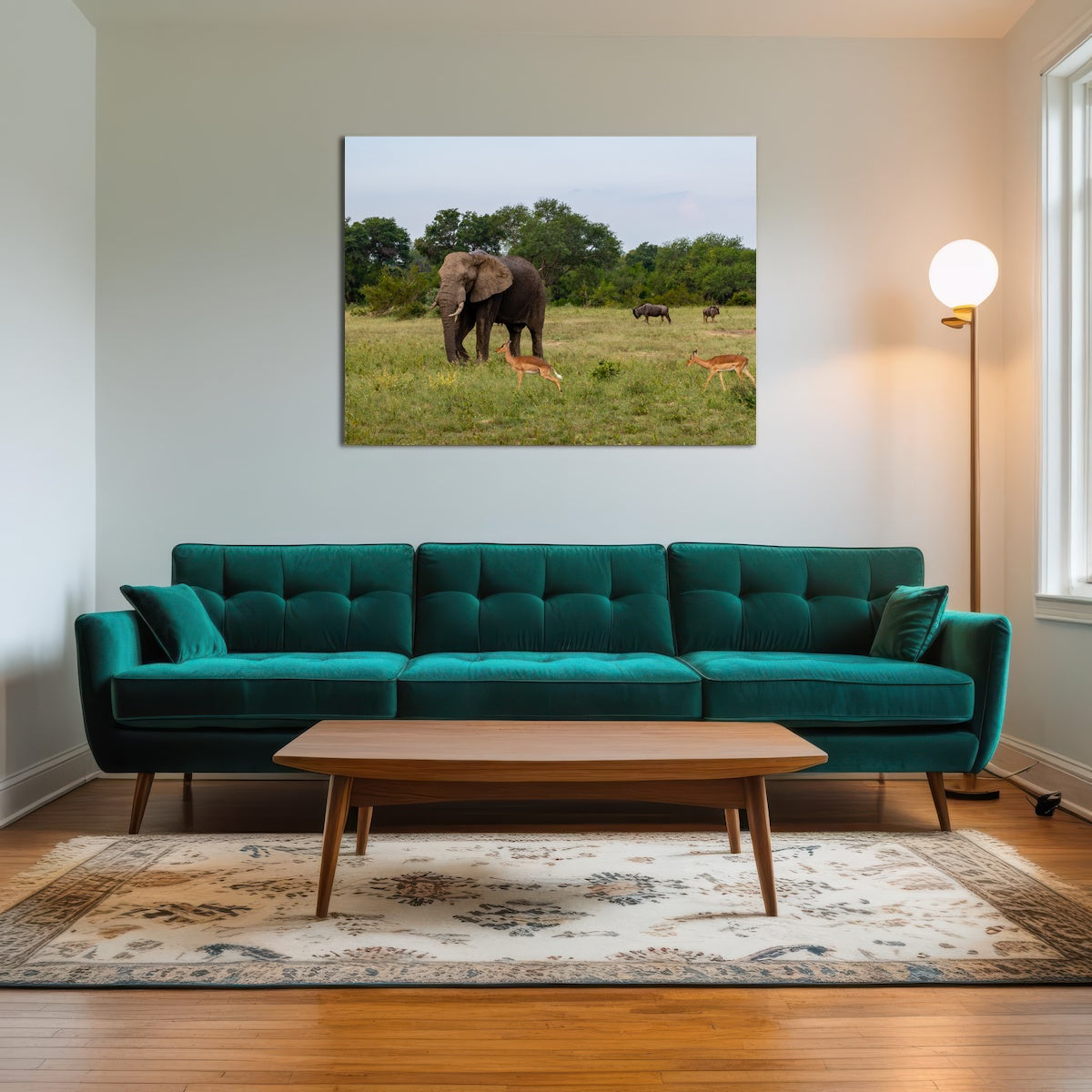 AUTO-MOCKUP ROOM | Kruger National Park