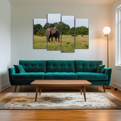 AUTO-MOCKUP ROOM | Kruger National Park