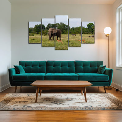 AUTO-MOCKUP ROOM | Kruger National Park