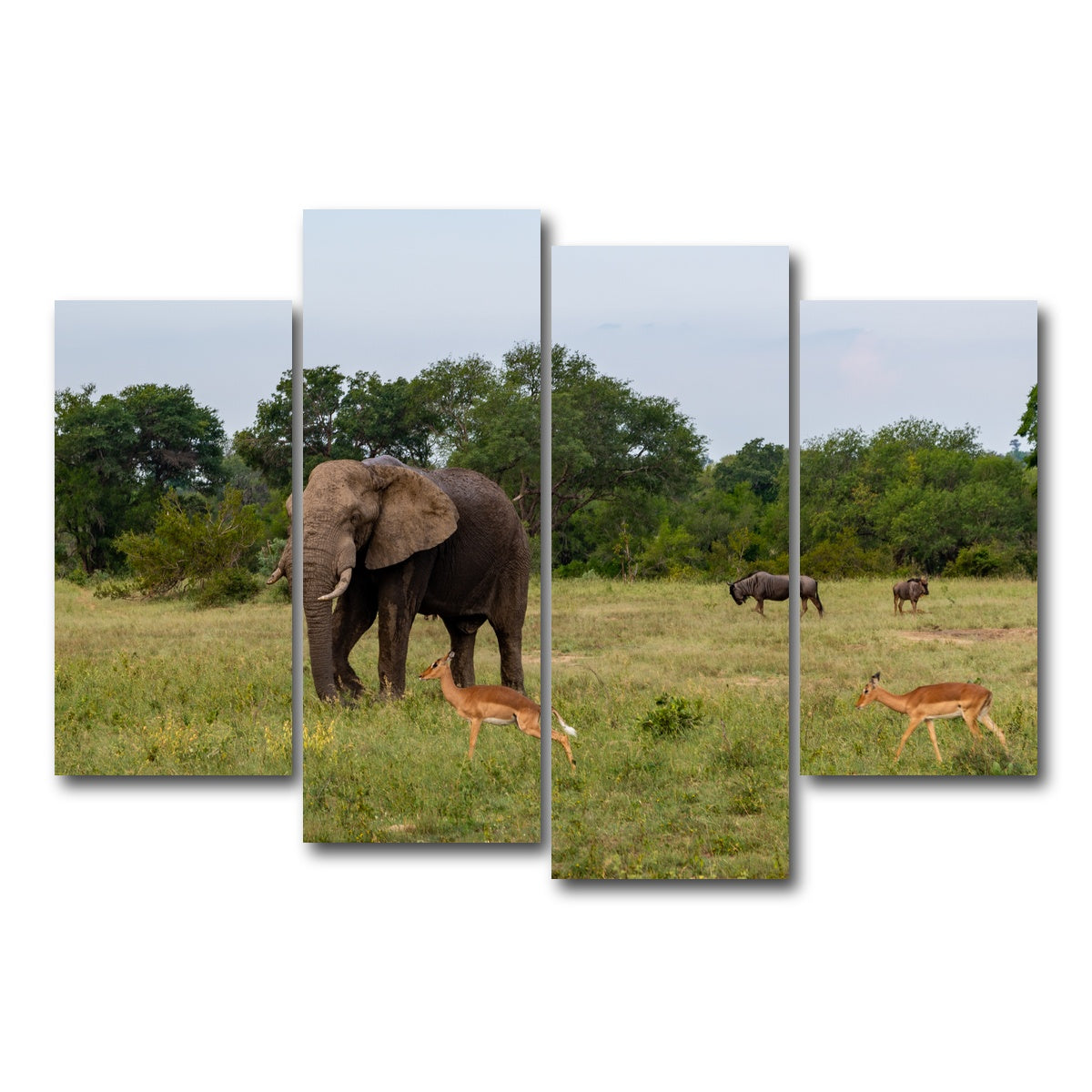 AUTO-MOCKUP WHITE | Kruger National Park | 4 Piece | Gallery Wrap Canvas | group=4_short