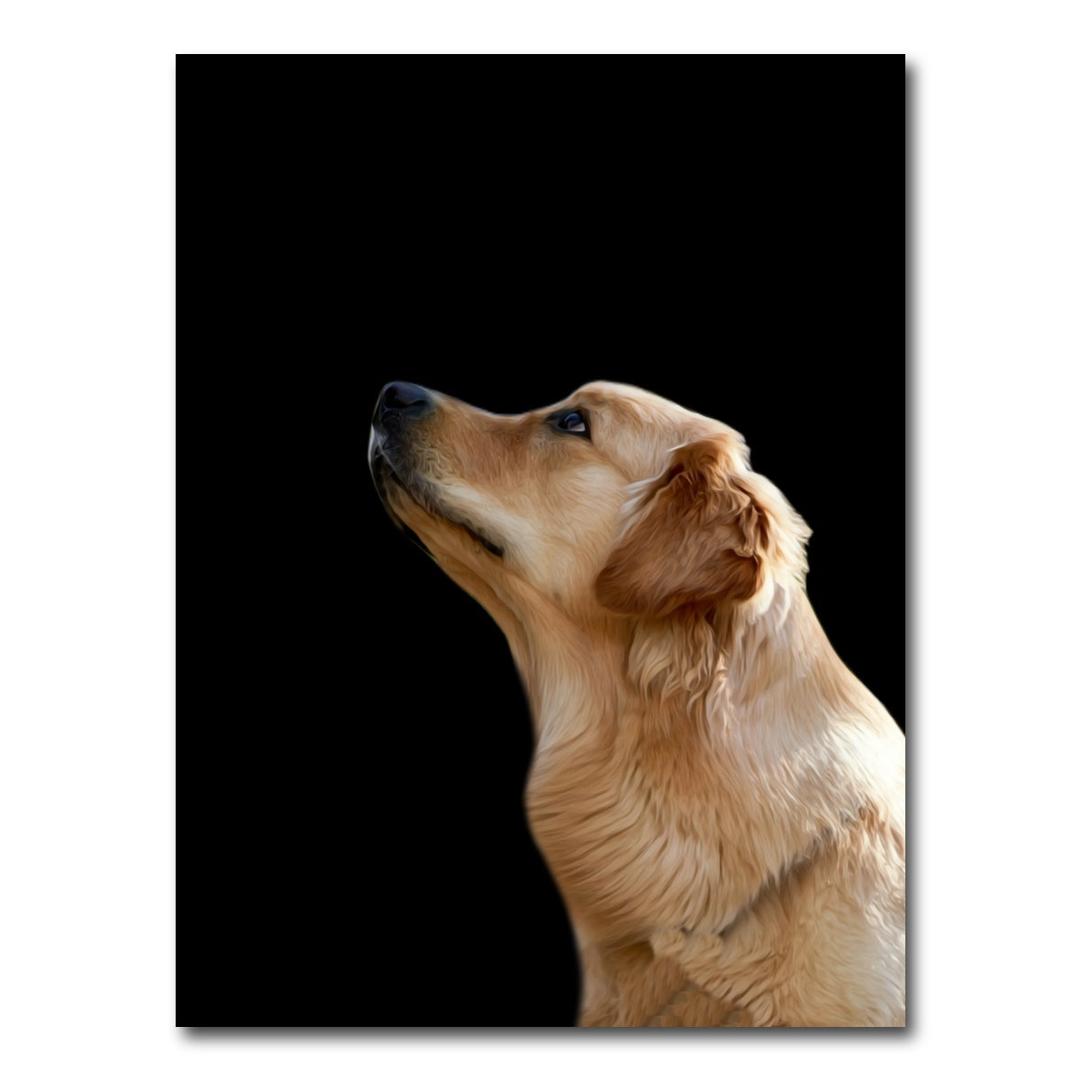 AUTO-MOCKUP WHITE | Labrador Retriever | 1 Piece | Gallery Wrap Canvas | group=3x4