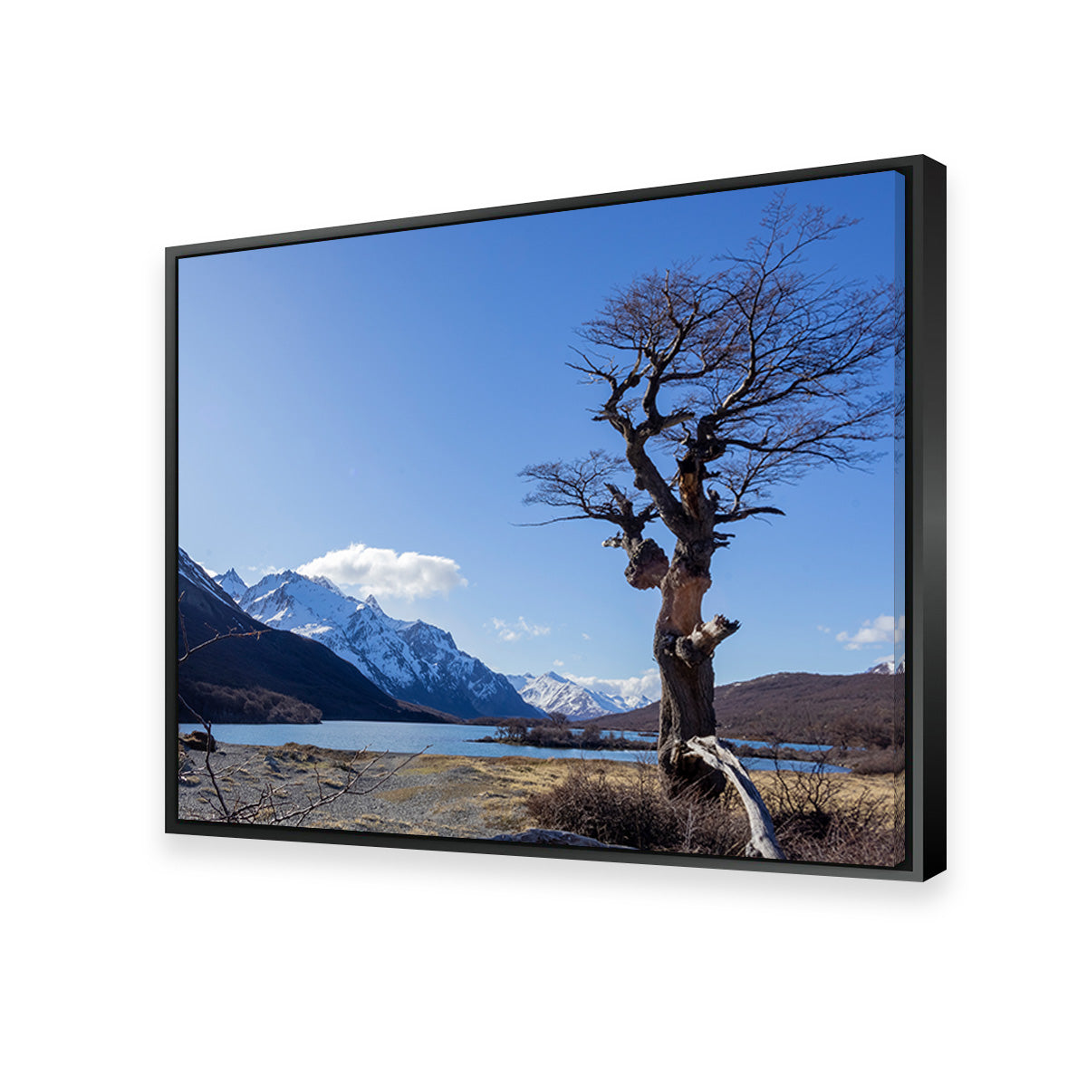 Laguna Hija - El Chaltén Wall Art