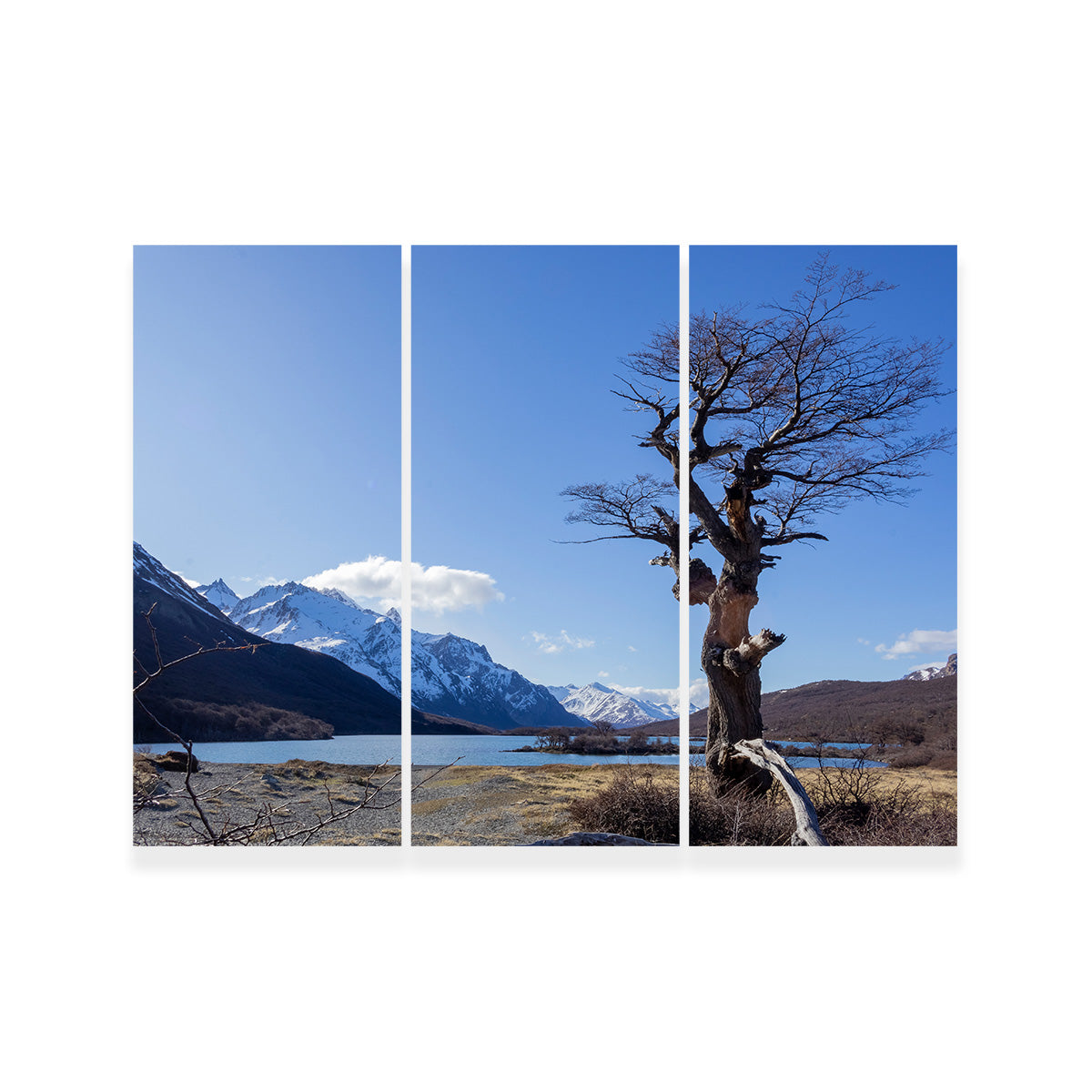 Laguna Hija - El Chaltén Wall Art