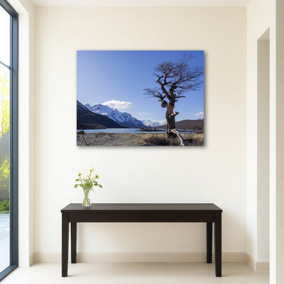 AUTO-MOCKUP ROOM | Laguna Hija - El Chalten