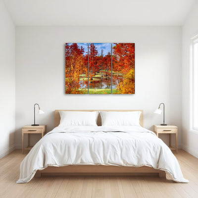 AUTO-MOCKUP ROOM | Lake Conway Cypress Trees